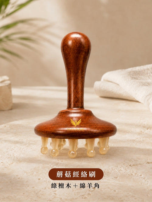 握感體刷系列