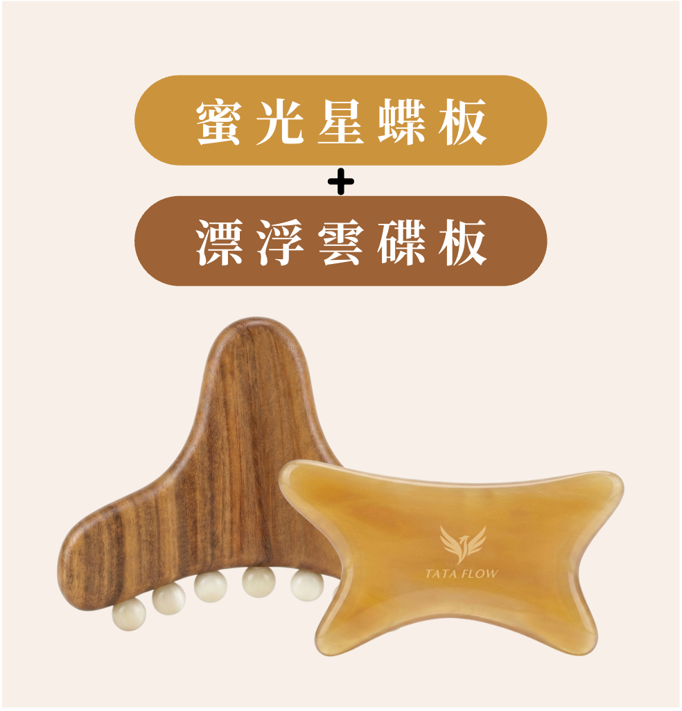 星蝶Ｘ雲碟 組合
